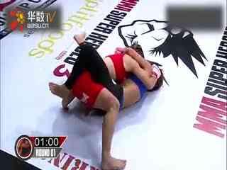 擒敌拳第三套教学视频,动作精要解析与实战技巧揭秘