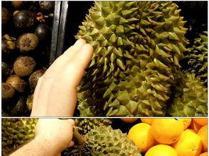 榴莲视频大全,一场味蕾与视觉的双重盛宴