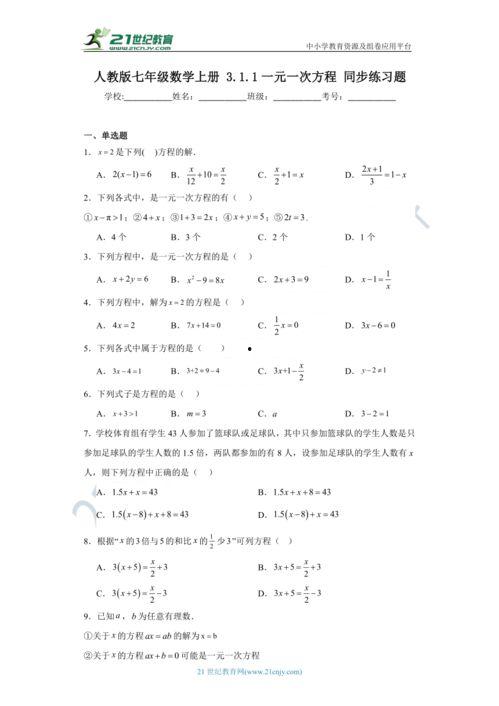 一元一次方程的讲解视频,基础讲解与解题技巧解析