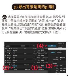 视频制件,捕捉瞬间，讲述故事的艺术之旅