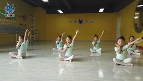 舞蹈考级七级全部视频,舞动青春，展现风采